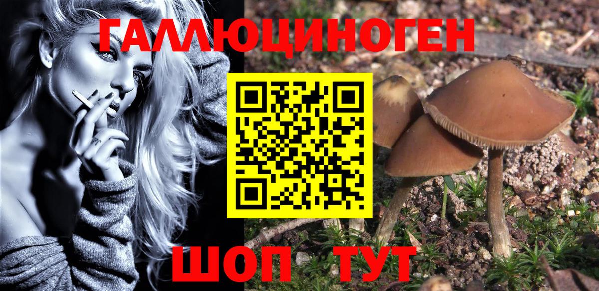 Галлюциногенные грибы MAGIC MUSHROOMS Томск