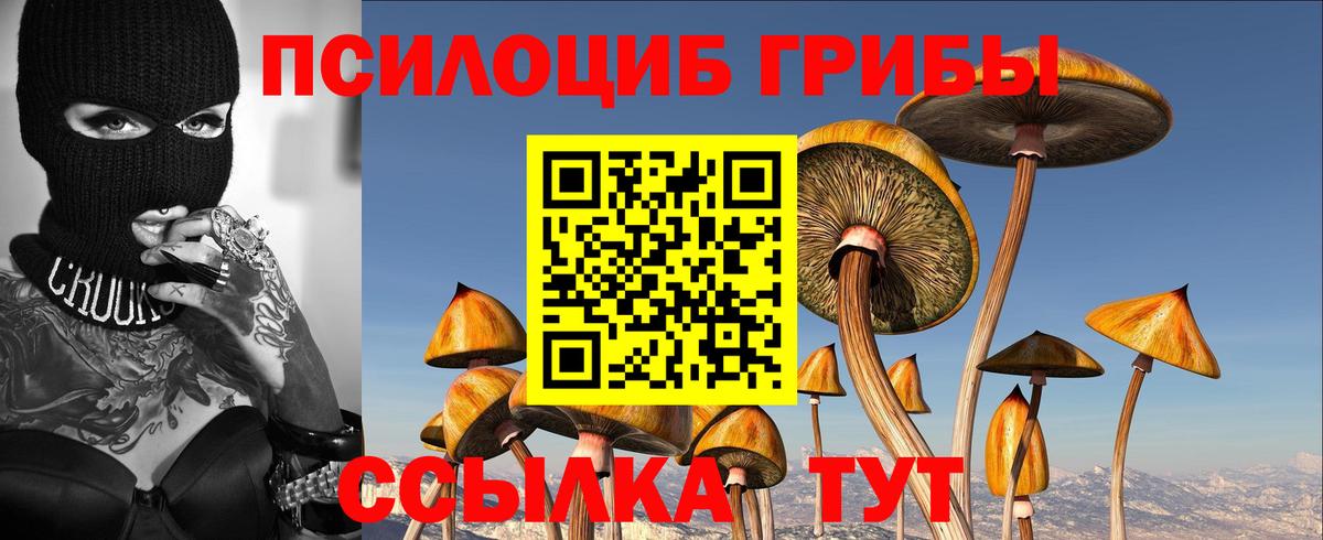 Галлюциногенные грибы Magic Shrooms  Вход с VPN  Томск 